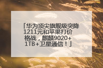 华为顶尖旗舰级突降1211元和苹果打价格战，麒麟9020+1TB+卫星通信！