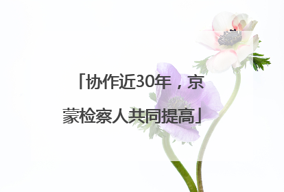 协作近30年，京蒙检察人共同提高