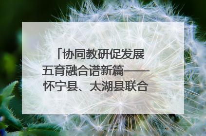 协同教研促发展 五育融合谱新篇——怀宁县、太湖县联合教研活动在月山镇中心学校成功举办