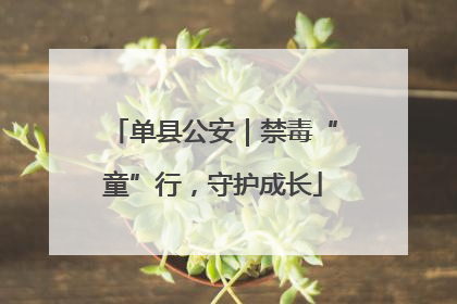 单县公安｜禁毒“童”行，守护成长