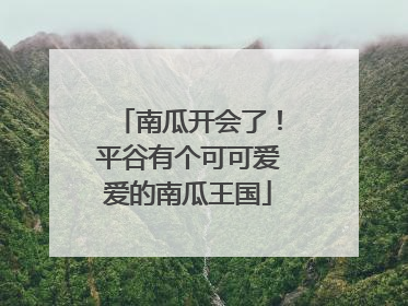 南瓜开会了！平谷有个可可爱爱的南瓜王国
