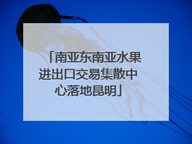 南亚东南亚水果进出口交易集散中心落地昆明