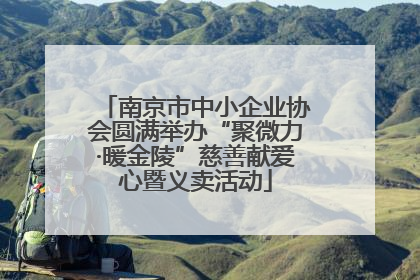 南京市中小企业协会圆满举办“聚微力·暖金陵”慈善献爱心暨义卖活动