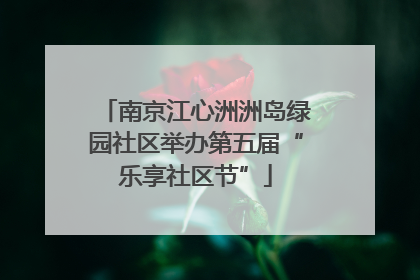 南京江心洲洲岛绿园社区举办第五届“乐享社区节”