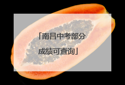 南昌中考部分成绩可查询