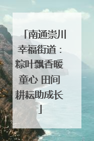 南通崇川幸福街道：粽叶飘香暖童心 田间耕耘助成长