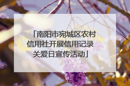 南阳市宛城区农村信用社开展信用记录关爱日宣传活动