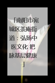 南阳市宛城区茶庵街道：弘扬中医文化 把脉基层健康