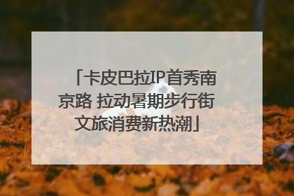 卡皮巴拉IP首秀南京路 拉动暑期步行街文旅消费新热潮