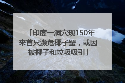 印度一洞穴现150年来首只濒危椰子蟹，或因被椰子和垃圾吸引