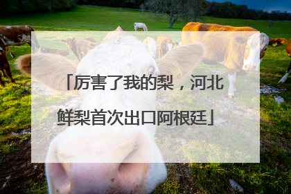 厉害了我的梨，河北鲜梨首次出口阿根廷