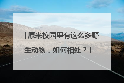 原来校园里有这么多野生动物，如何相处？