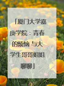 厦门大学嘉庚学院：青春的烦恼 与大学生哥哥姐姐聊聊