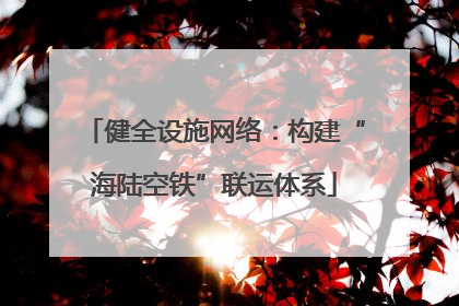 健全设施网络：构建“海陆空铁”联运体系