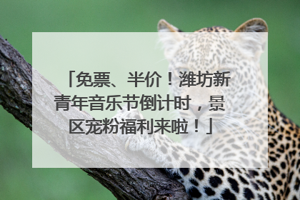 免票、半价！潍坊新青年音乐节倒计时，景区宠粉福利来啦！