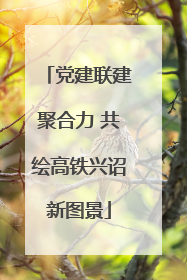 党建联建聚合力 共绘高铁兴诏新图景