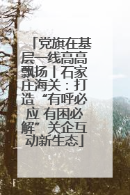 党旗在基层一线高高飘扬丨石家庄海关：打造“有呼必应 有困必解”关企互动新生态
