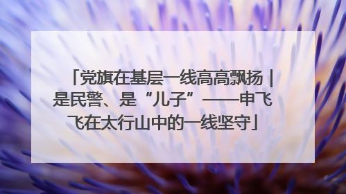 党旗在基层一线高高飘扬｜是民警、是“儿子”——申飞飞在太行山中的一线坚守