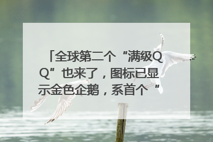 全球第二个“满级QQ”也来了，图标已显示金色企鹅，系首个“满级QQ”的小号