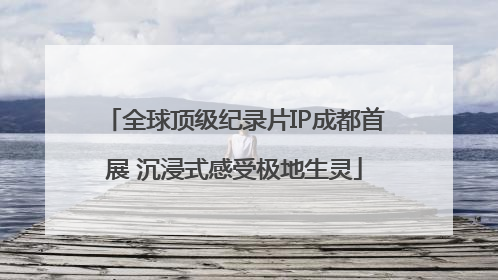 全球顶级纪录片IP成都首展 沉浸式感受极地生灵