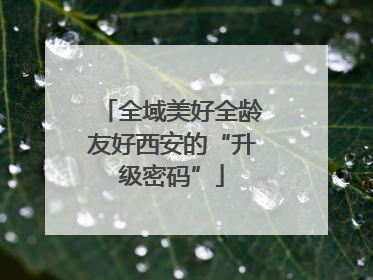 全域美好全龄友好西安的“升级密码”