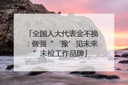 全国人大代表金不换：做强“‘豫’见未来”未检工作品牌