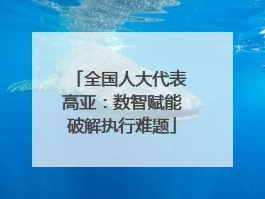 全国人大代表高亚：数智赋能破解执行难题