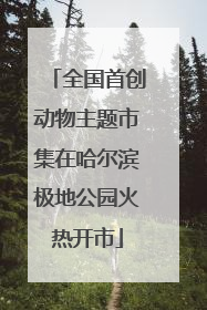 全国首创动物主题市集在哈尔滨极地公园火热开市