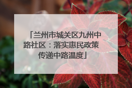 兰州市城关区九州中路社区：落实惠民政策 传递中路温度