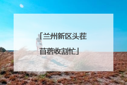 兰州新区头茬苜蓿收割忙