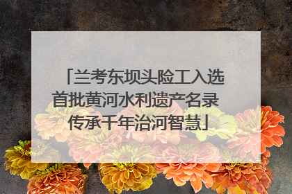 兰考东坝头险工入选首批黄河水利遗产名录 传承千年治河智慧