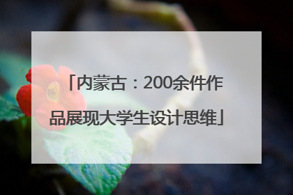 内蒙古：200余件作品展现大学生设计思维