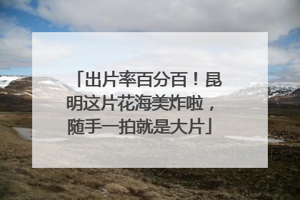 出片率百分百！昆明这片花海美炸啦，随手一拍就是大片