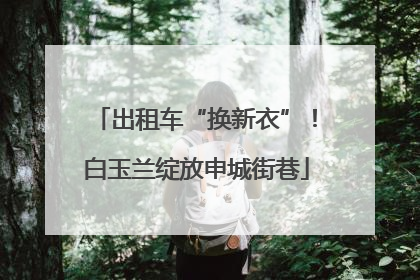 出租车“换新衣”！白玉兰绽放申城街巷