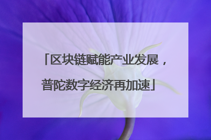 区块链赋能产业发展，普陀数字经济再加速