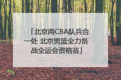 北京两CBA队兵合一处 北京男篮全力备战全运会资格赛