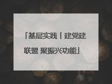 基层实践丨建党建联盟 聚振兴功能