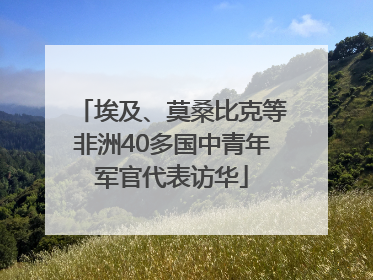 埃及、莫桑比克等非洲40多国中青年军官代表访华