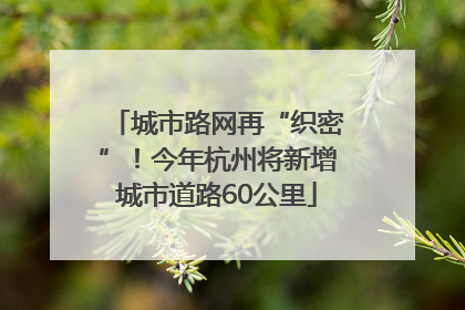 城市路网再“织密”！今年杭州将新增城市道路60公里