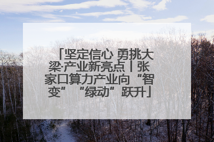 坚定信心 勇挑大梁·产业新亮点丨张家口算力产业向“智变”“绿动”跃升