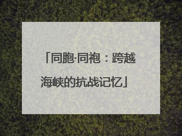 同胞·同袍：跨越海峡的抗战记忆