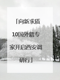 向新求质 10国外籍专家开启西安调研行