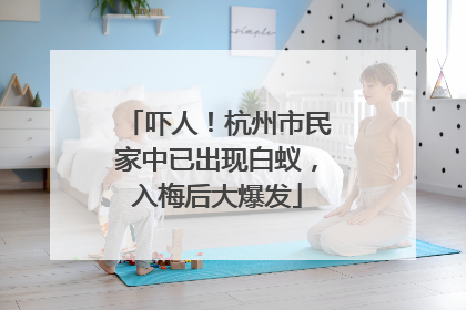 吓人！杭州市民家中已出现白蚁，入梅后大爆发