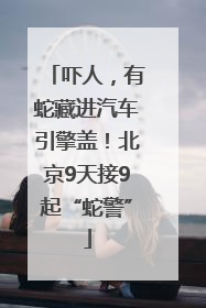 吓人，有蛇藏进汽车引擎盖！北京9天接9起“蛇警”