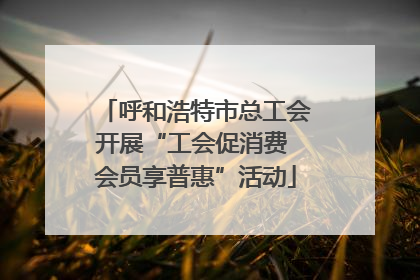 呼和浩特市总工会开展“工会促消费 会员享普惠”活动