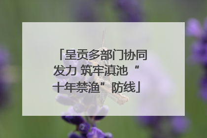 呈贡多部门协同发力 筑牢滇池“十年禁渔”防线