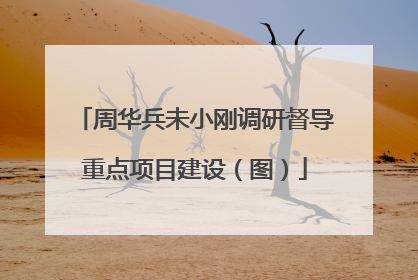 周华兵未小刚调研督导重点项目建设（图）