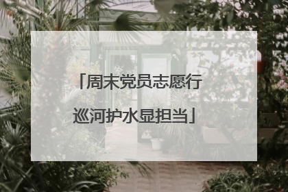 周末党员志愿行 巡河护水显担当