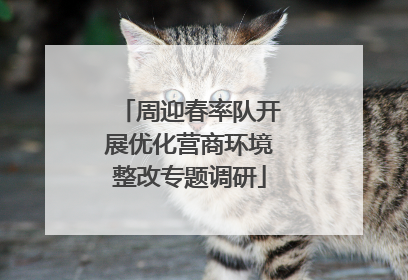周迎春率队开展优化营商环境整改专题调研