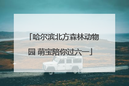 哈尔滨北方森林动物园 萌宝陪你过六一